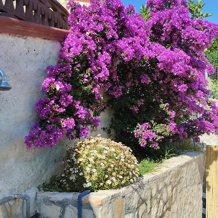 Alehouse Appartement *